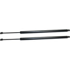 Lift Support for Honda Odyssey (2005–2008) Rear Driver & Passenger Side