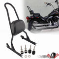 Detachable Backrest Sissy Bar for Harley Fatboy Softail (2006–2017)