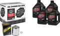 Oil Change Kit for Harley-Davidson Maxima V Twin (1990–2023) Chrome