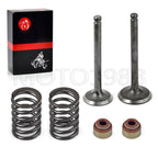 Intake Exhaust Valve Seal Spring for Club Car DS Predent (1992–2024)
