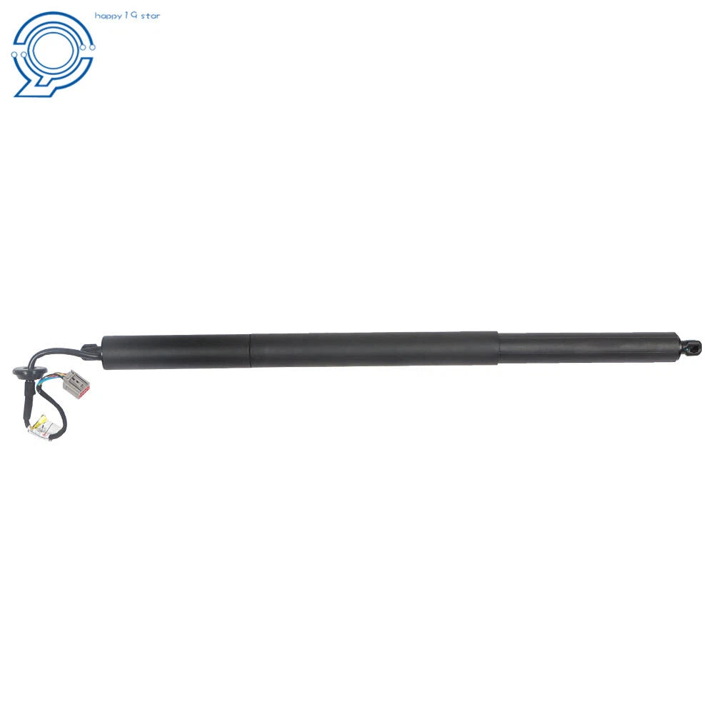 Rear Left Power Lift Support Strut for Hyundai Santa Fe (2013–2016)