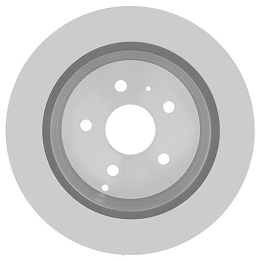 Brake Discs for Chevy Equinox (Rear)