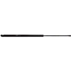 Lift Support Set for Honda Odyssey (2011–2017)
