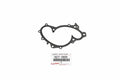 Engine Water Pump Gasket for Toyota Camry, Highlander (2002–2023) 1627120020