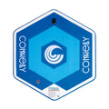 Connelly Prism Drop Stitch Towable Tube for Universal Use (67181041)