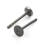 Intake & Exhaust Valve Set for EZGO Gas 4-Stroke 295cc 350cc (1996-Up)