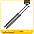 2X Rear Trunk Lift Supports for Honda Accord VIII (2008)