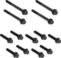 Bolt Kit for Harley-Davidson Softail (Titanium, 12-Point, Black)
