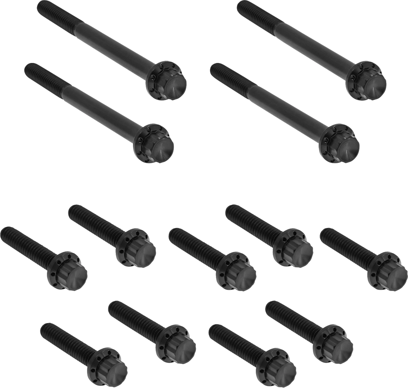 Bolt Kit for Harley-Davidson Softail (Titanium, 12-Point, Black)
