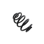 Lesjofors Rear Suspension Coil Spring for BMW E46 323ci 325ci 325i 330Ci (1998–2006)