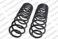 Rear Coil Spring Kit for Ford (4427543)