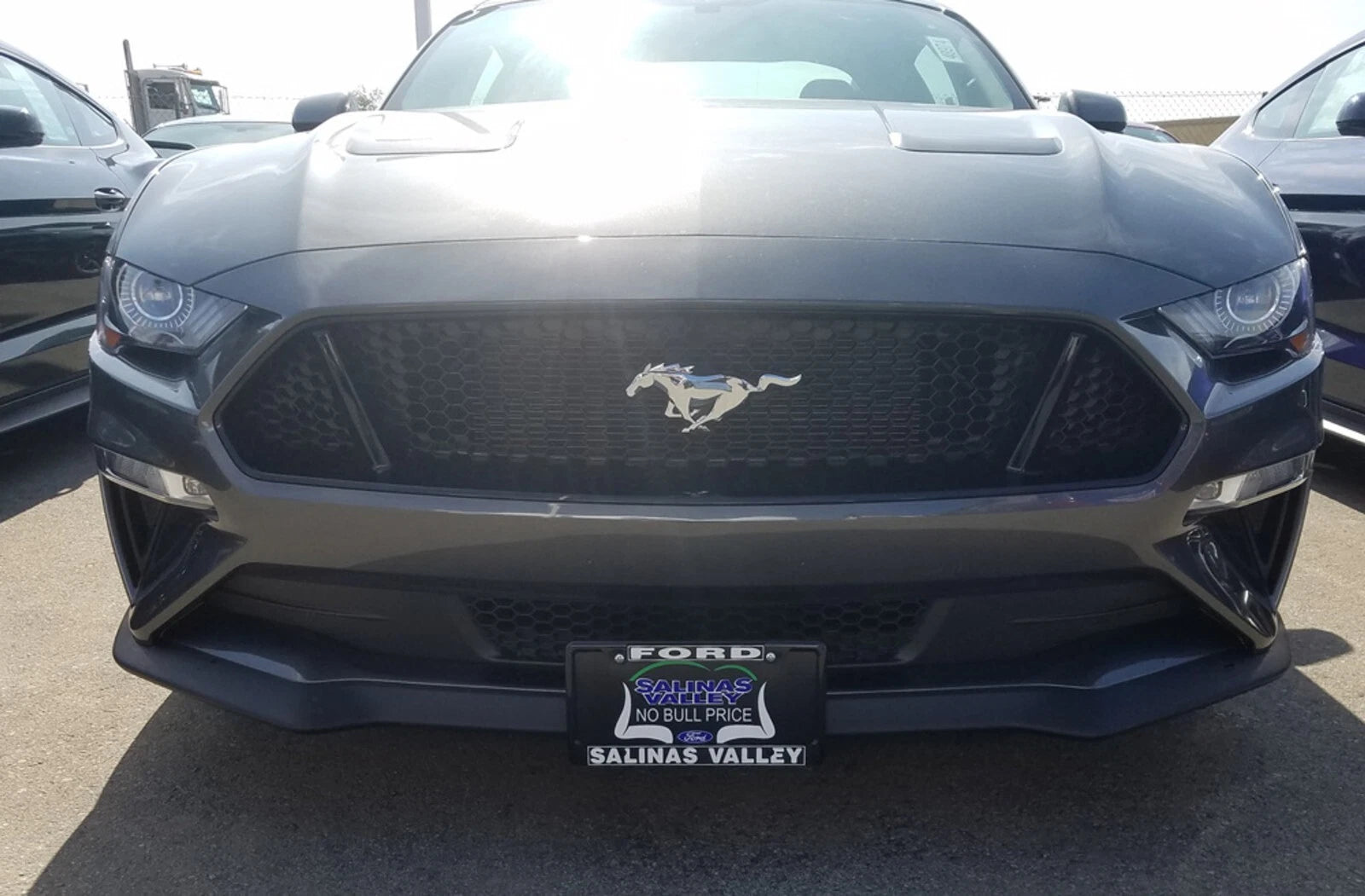 License Plate Bracket Replacement for 2018-2023 Ford Mustang GT