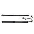 2X Rear Tailgate Lift Support for Lexus NX300 NX300h (2018-2021)