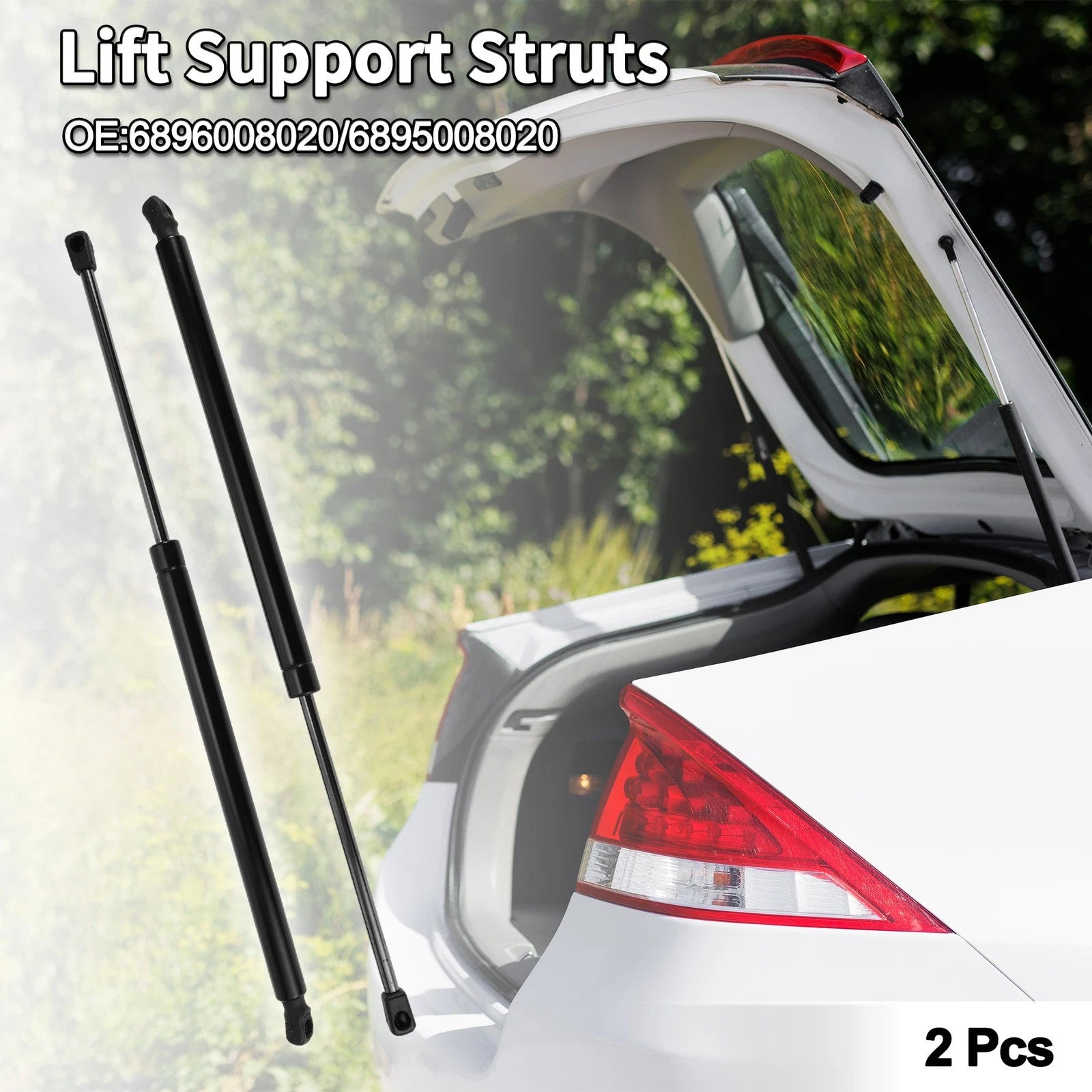 Rear Hatch Lift Supports for Toyota Sienna (2004–2020) No. 6896008020/6895008020