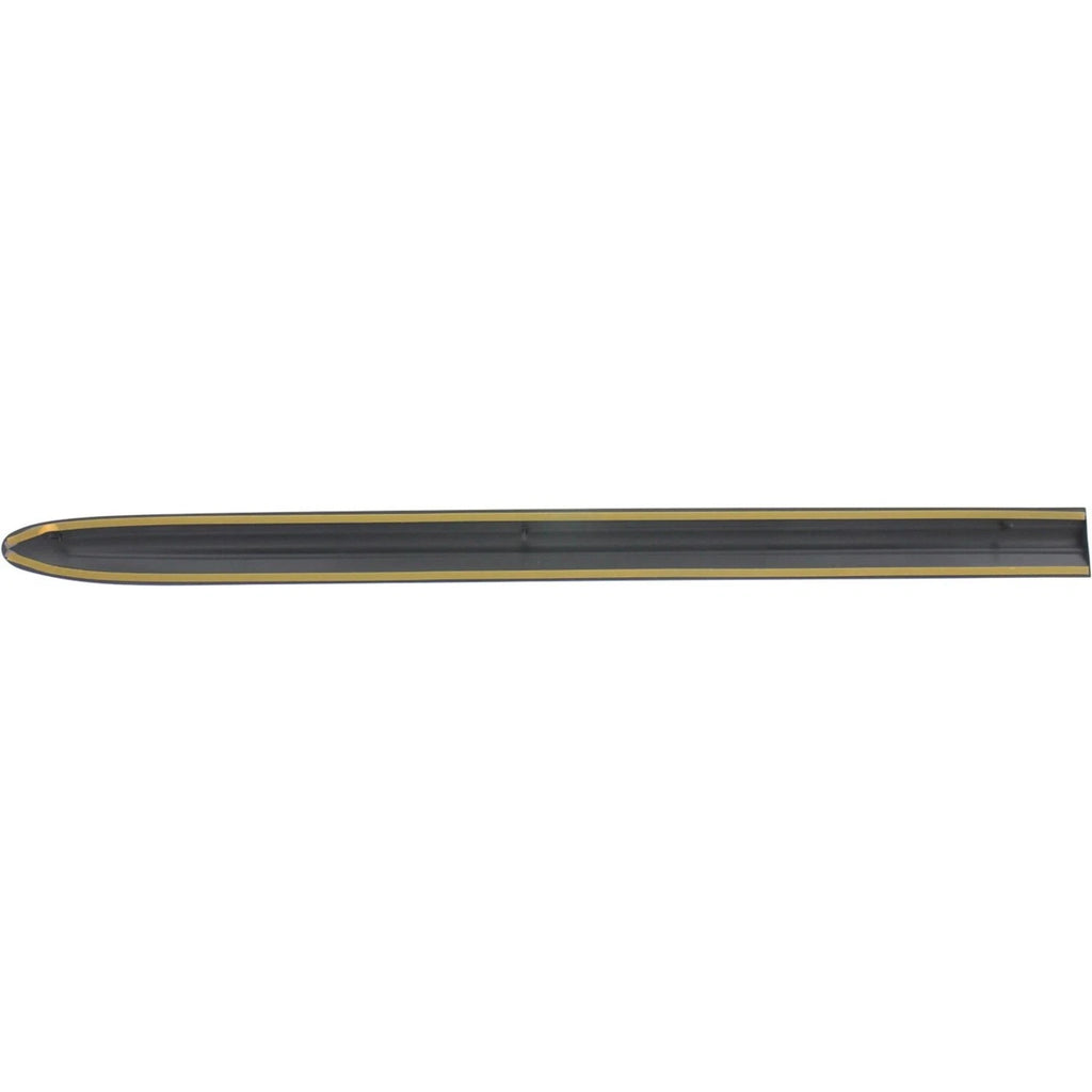 Set of 2 Door Molding and Beltlines for Dodge Grand Caravan (2002–2004)