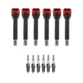 Set of 6 Ignition Coils & Iridium Spark Plugs for Audi A6 3.2 V6 (2005–2011)