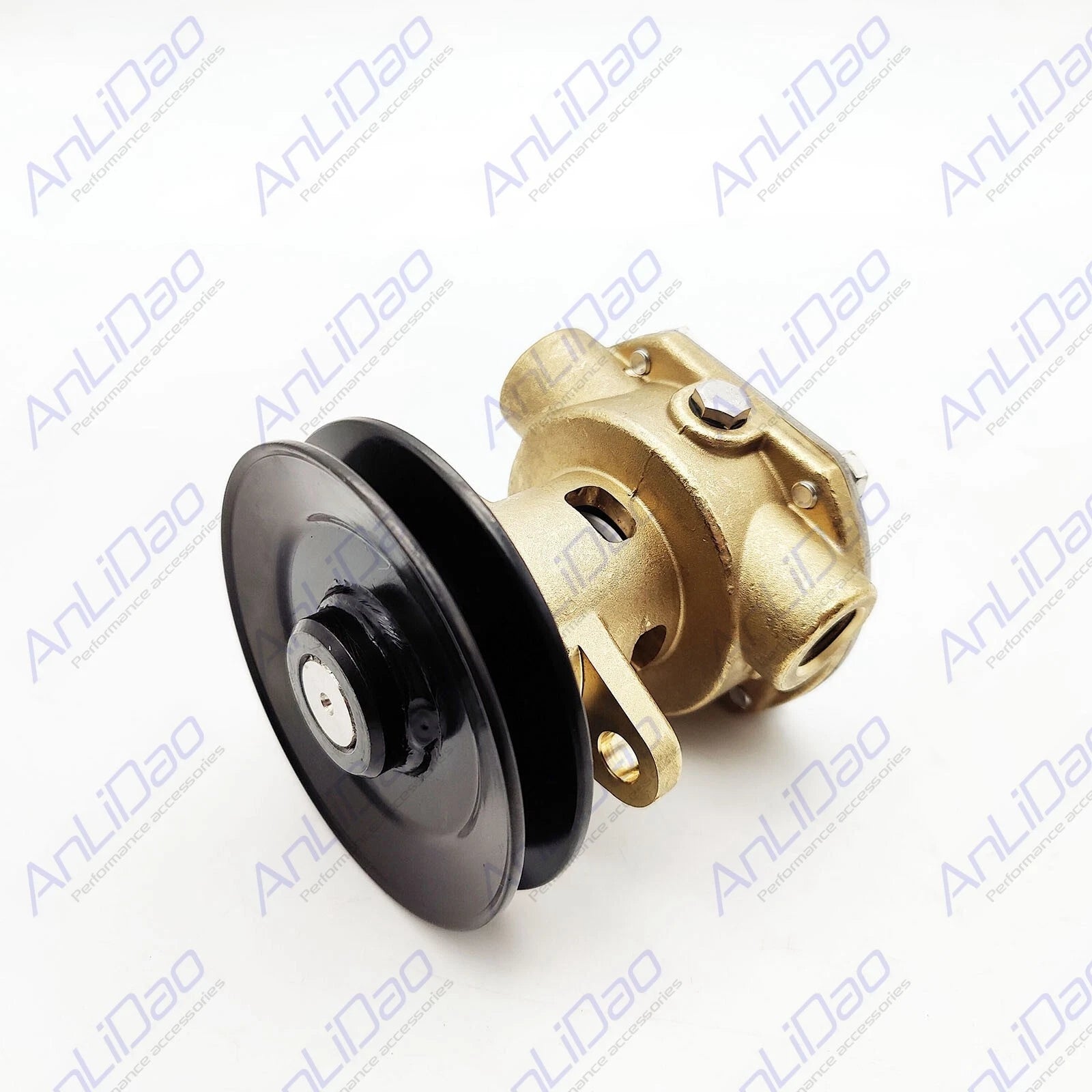 Sea Water Pump for Kohler Marine Engine (267373, 246489, 344089, 344371)