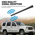 8" Spiral Flexible Antenna for RAM 1500 2500 3500 (2010-2023) - Black