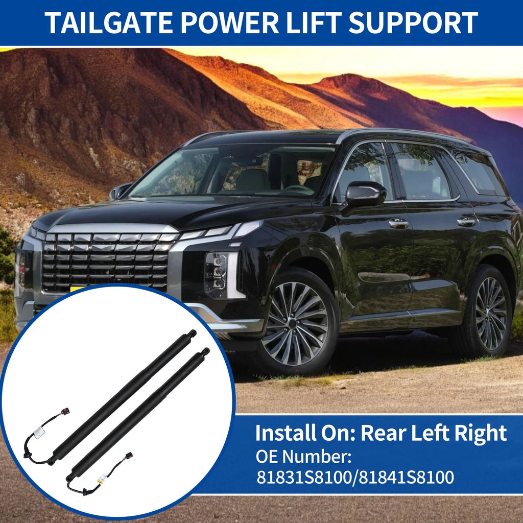 Set of 2 Rear Tailgate Power Lift Supports for Hyundai Palisade (2020–2024) No. 81831S8100