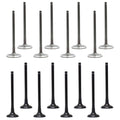Set of 16 Intake & Exhaust Valves for Hyundai Accent, Kia Rio, Soul, Veloster (2011–2017)