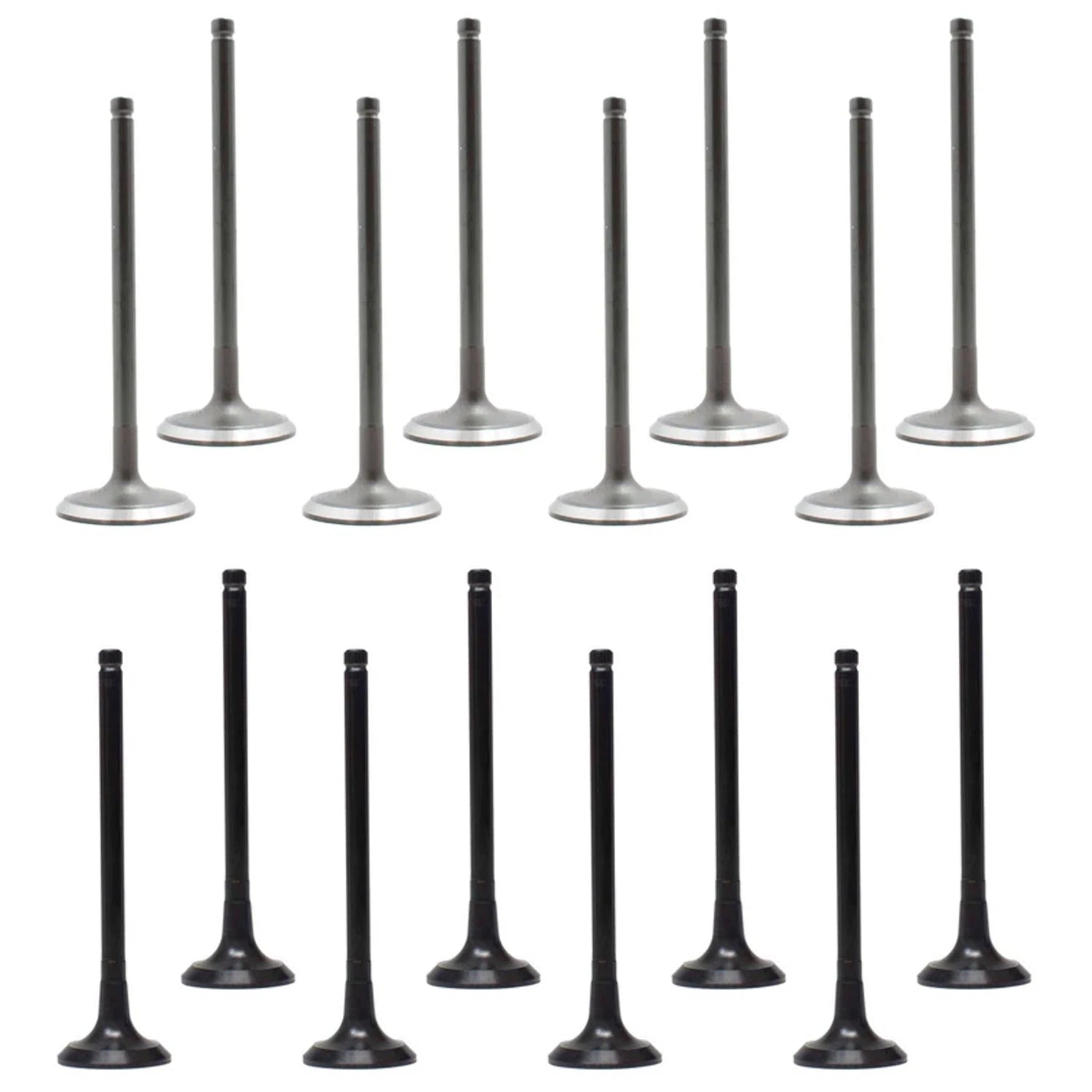 Set of 16 Intake & Exhaust Valves for Hyundai Accent, Kia Rio, Soul, Veloster (2011–2017)
