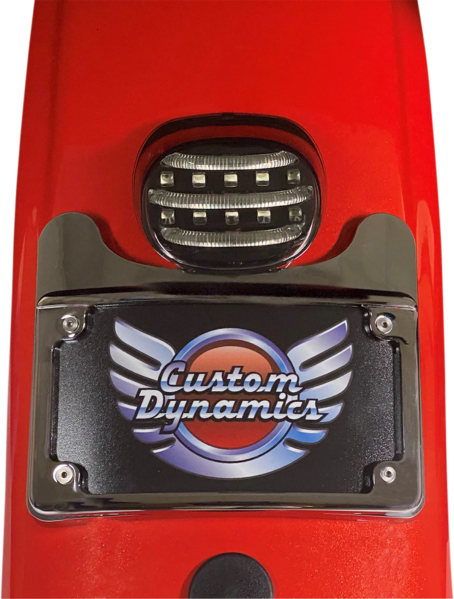Lighted Turn Signal Eliminator Kit for Custom Dynamics (CD-TS-ELIM-B)