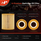 2X Engine Oil Filter for Ford F-150 (2018-2021)