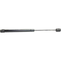 Set of 2 Trunk Lid Lift Supports for Buick Century Regal (1997–1999)