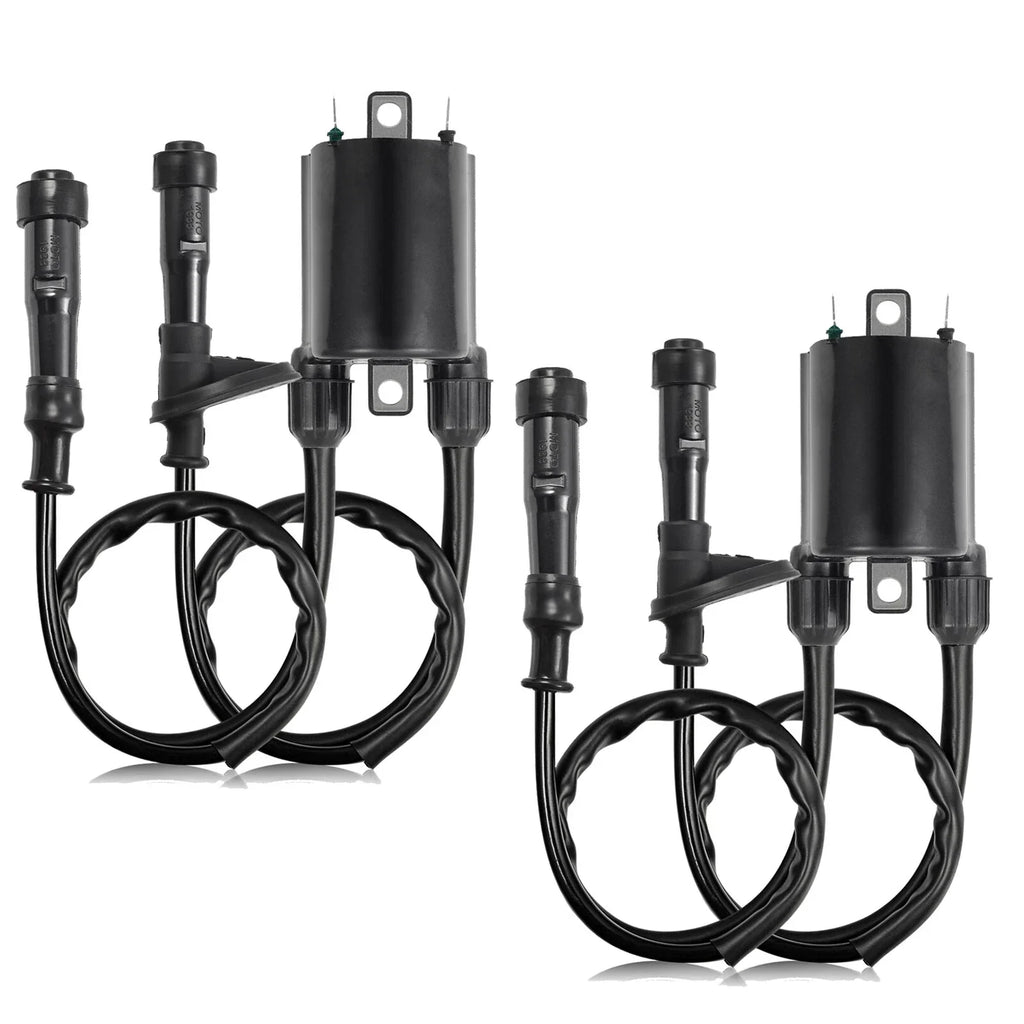 Set of 2 Ignition Coils for Honda VT750C VT750Ca Shadow Aero (2004–2009)
