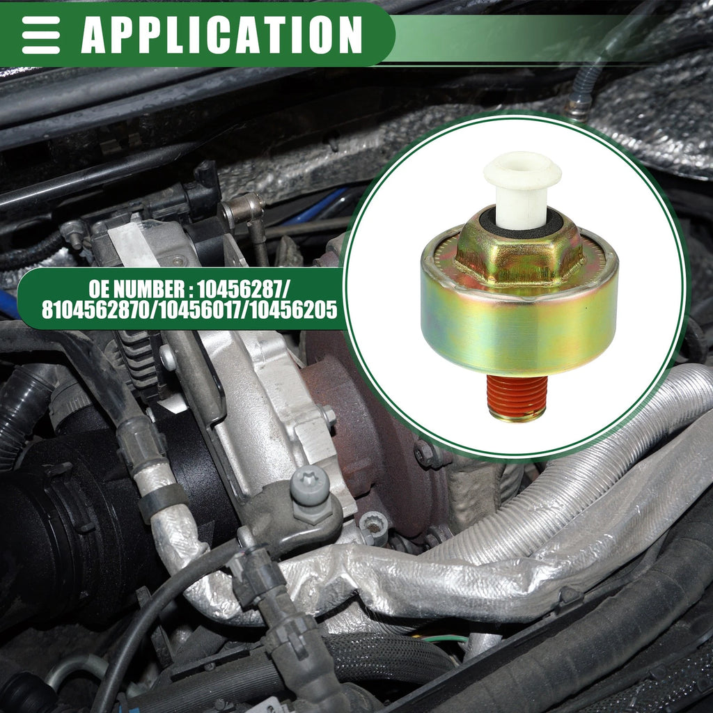 Ignition Knock Sensor for Chevrolet (No. 10456287)