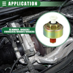 Ignition Knock Sensor for Chevrolet (No. 10456287)