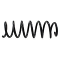 Lesjofors Coil Spring Rear for (without Sport Suspension, 4208489)