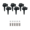 Set of 6 Ignition Coils & Denso Iridium Spark Plugs for Ford Explorer F-150