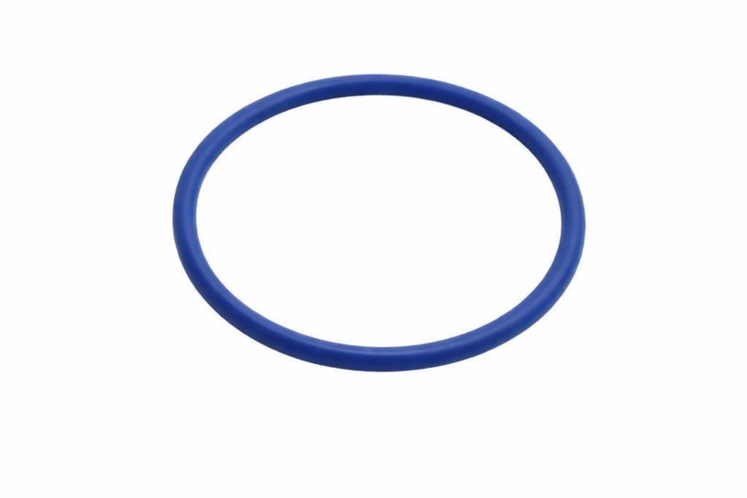 Fuel Pump Gasket for VW Audi Porsche (WHT005184)