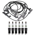 Ignition Wire Set & 6 ACDelco Spark Plugs for Chevy Buick 3.8 V6