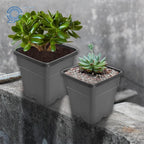 Set of 10 Square Black Nursery Pots for Garden Use (1 Gallon)