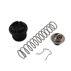Thermal Regulator Kit for Pentair Sta-Rite Max-E-Therm (2007-2023)