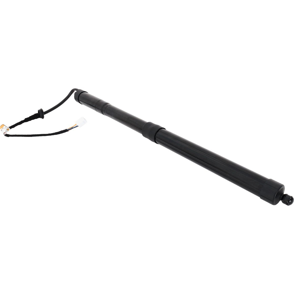 Liftgate Lift Supports for Toyota RAV4 Prime