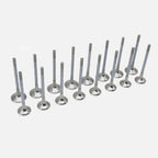 Engine Piston Rebuild Kit for Audi Volkswagen 2.0 TFSI TSI EA888 (08-13)