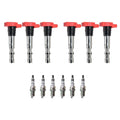 Set of 6 Ignition Coils & Iridium IX Spark Plugs for Audi A4 A6 Quattro (2000–2008)