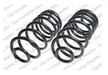 Rear Coil Spring Kit for Buick Chevy Cadillac Oldsmobile (4412137)