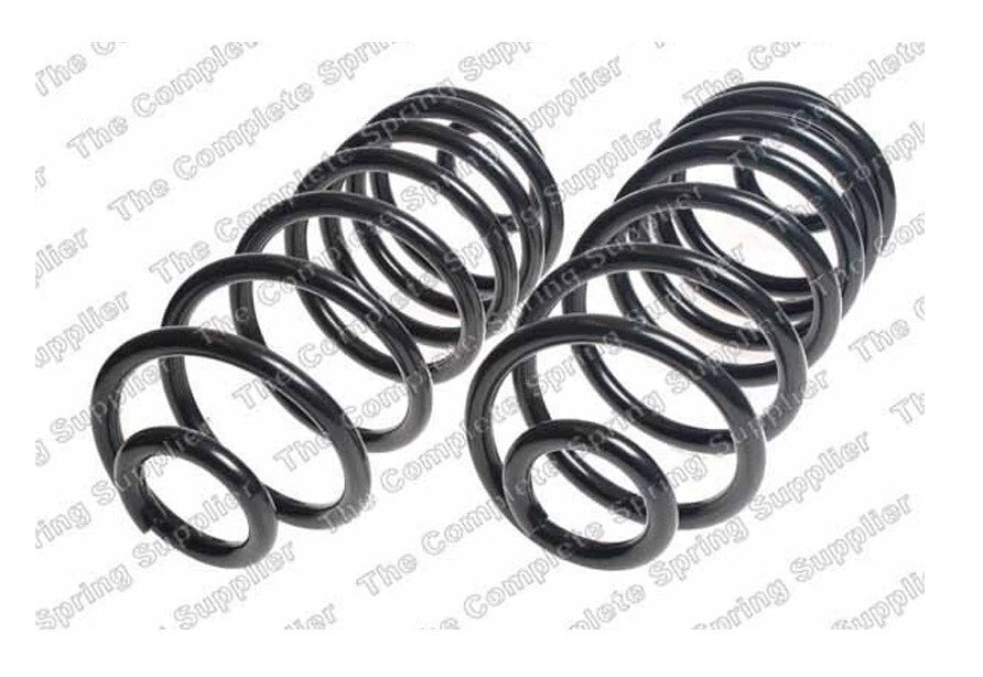 Rear Coil Spring Kit for Buick Chevy Cadillac Oldsmobile (4412137)