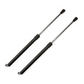 Set of 2 Rear Trunk Shocks for MB W220 S350 S550 S55