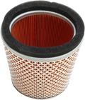 HIFLOFILTRO Air Filter for Triumph (HFA6504)