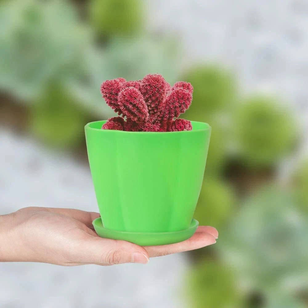 Set of 4 Colorful Flower Plant Container Pots for Indoor Seed Starting