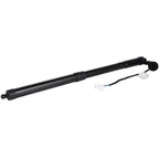 Liftgate Lift Support Shock Strut for Honda Pilot (2018–2020)