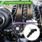 Crankshaft Position Sensor for Detroit Diesel Series 60 (No. 8929388)