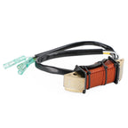 Lighting Coil for Mercury Marine 9.9Hp 15Hp 18Hp 25Hp 30Hp (2Cyl) 803703 160743