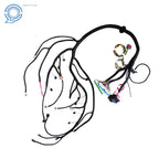 Stand Alone Wiring Harness for LS Truck (1999–2006) with T56 DBC