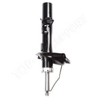 Set of 4 Struts for Ford Focus (2012–2013)